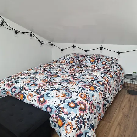 La Forge Apartment Parmilieu